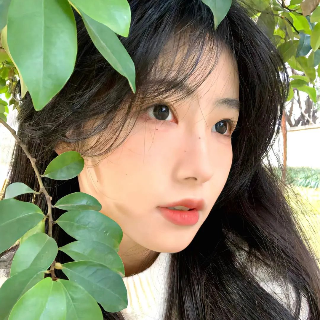地球之极·侣行第十季